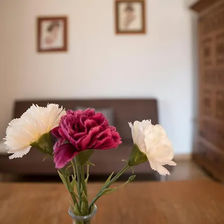 Apartamento Alegría Santillana del Mar